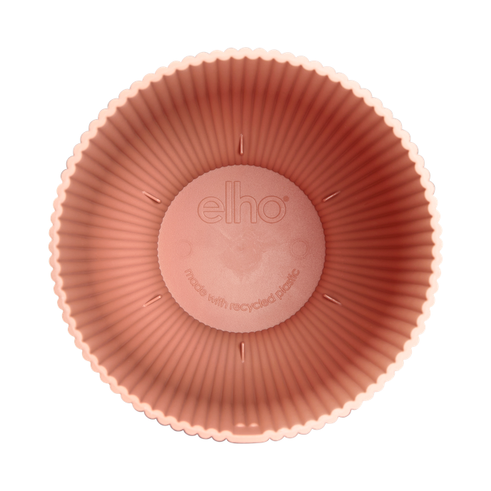 vibes fold coupe 14cm rose poudré